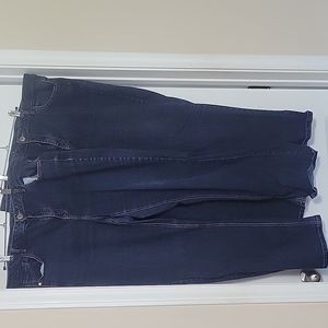 Lane Bryant Boot Cut Jeans